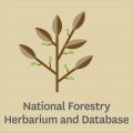 Scion's National Forestry Herbarium and Database