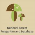 Scion's National Forest Fungarium and Database icon