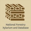 Scion's National forestry Xylarium and database