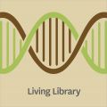 Scion's Genetic Living Tree Library