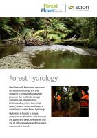 Cover of an infosheet about Forest Hydrology